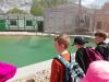 ZOO-003
