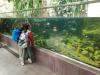 ZOO-006