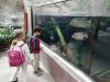 ZOO-007