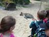ZOO-010