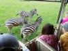 ZOO-013