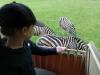 ZOO-014