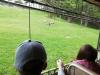 ZOO-015