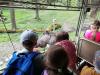 ZOO-016